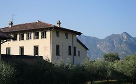 La Corte Del Cigno