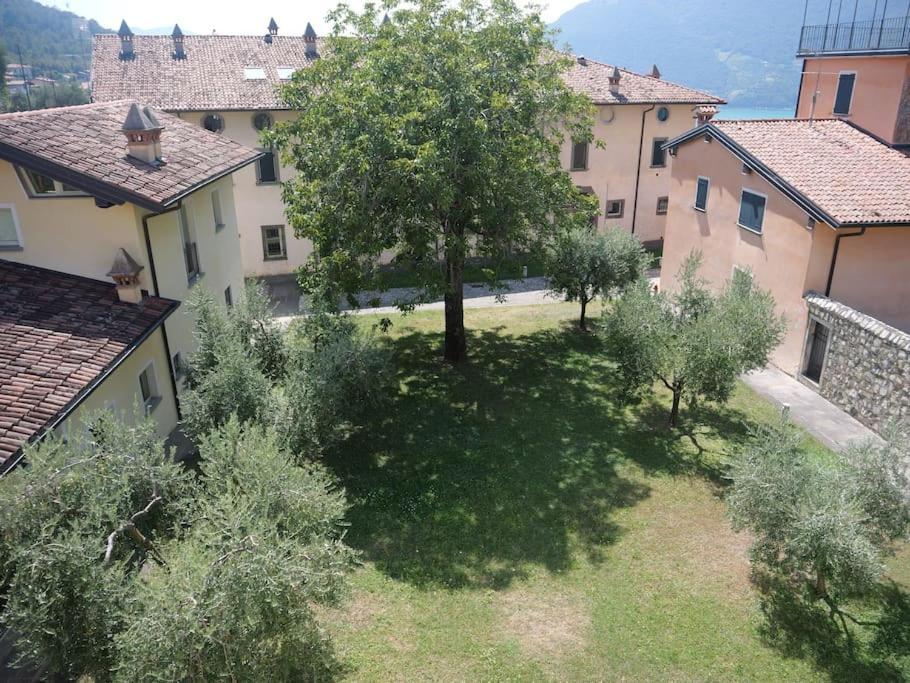 La Corte Del Cigno Monte Isola Esterno foto